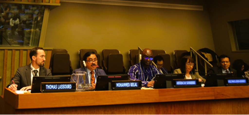 FfD_20260422